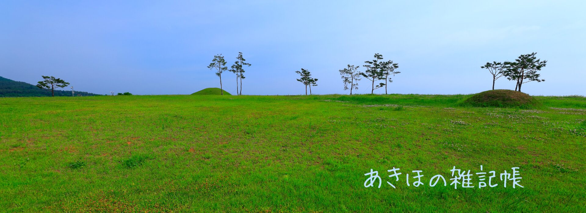 あきほの雑記帳